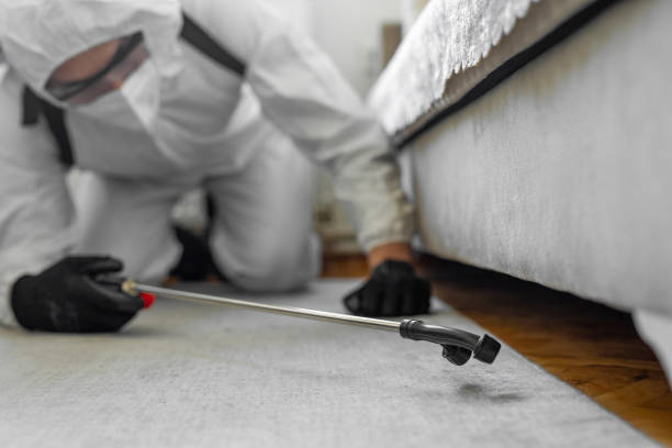 Professional Termite Control technician working in Marlboro, NY