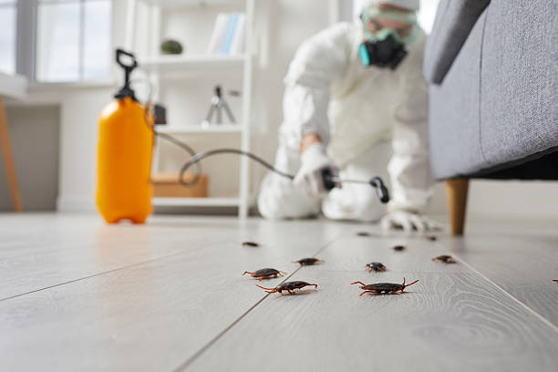 Trusted Fumigation Services service in Marlboro, NY - Nex Pest Control
